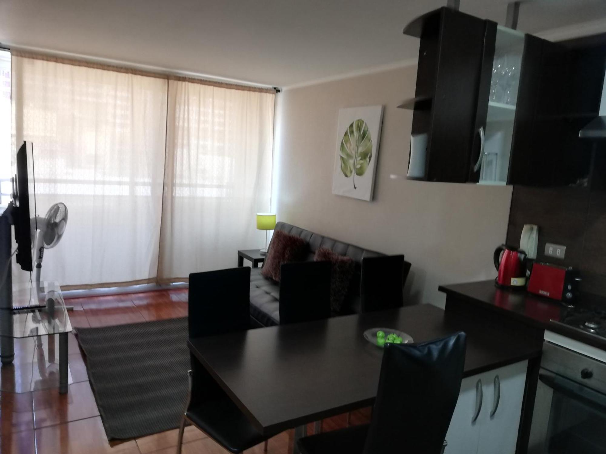 サンティアゴDepartamento Centro R&Mアパートメント エクステリア 写真